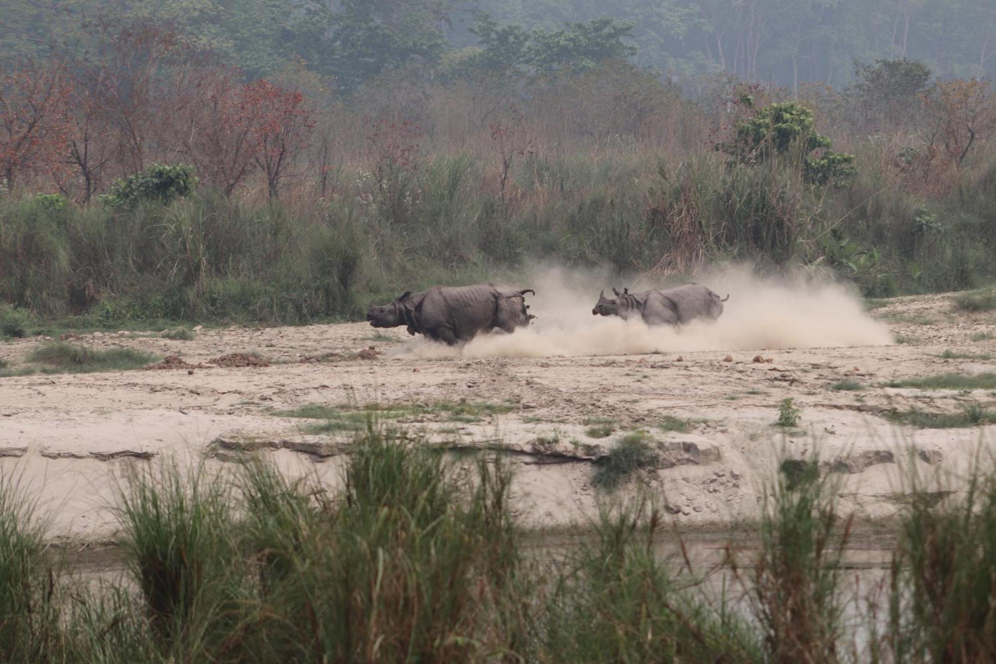 Sanctuary Chitwan National Park จิตวัน ภายนอก รูปภาพ